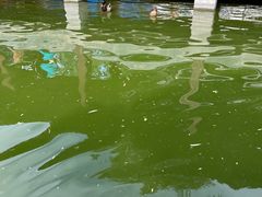 -团结湖公园