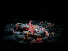 -佳兆业国际影城(鞍山店)