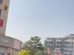 -潮半城·深井烧鹅潮州卤味手打牛肉丸(大沽路菜市场店)