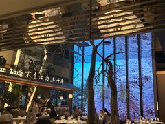 -桂满陇·海市蜃楼·黑金(国金店)