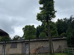 -贵州森林野生动物园