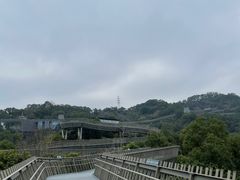 -福道