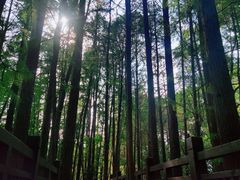 -东湖落雁景区