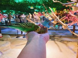 -酷嗒动物文化乐园(cutezoo西溪乐天城店)