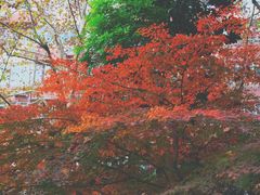 -华山儿童公园