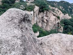 -大岭沟猕猴桃谷风景区