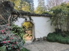 -杭州黄龙洞