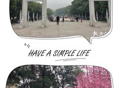 -武汉大学-樱园