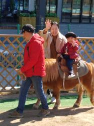 -萌宠亲子动物乐园(槐房万达店)