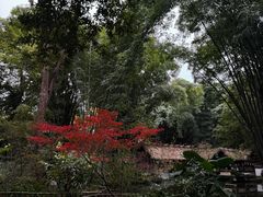 -成都杜甫草堂博物馆