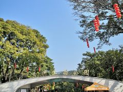 -云溪植物园