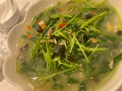 -双井轩(双井店)