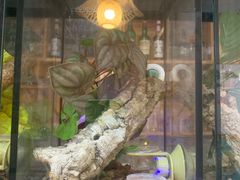 -Rabbit Cafe私房西餐甜点咖啡(栖霞路店)