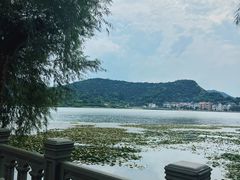 -鸣鹤古镇