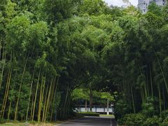 -苏州河梦清园环保主题公园