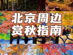 -朝阳公园
