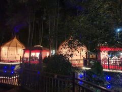 -二荆条·蜀鲜汇城市森林火锅