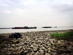 -吴淞炮台湾湿地森林公园烧烤区