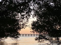 -宝安西湾红树林湿地公园