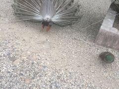 -南京金牛湖风景区