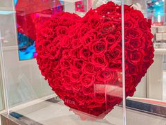 -ROSEONLY诺誓(国际广场购物中心店)