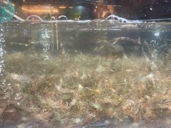 -传统菜农庄(皇姑路店)