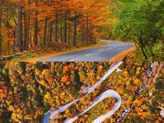 -光雾山旅游景区