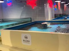 -日进一片海.生腌海鲜火锅.宵夜烧烤(三里屯总店)