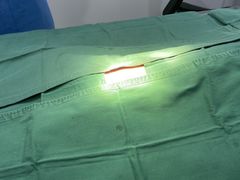 -佳雯宠物医院·皮肤科·内外科(春晓路分院)