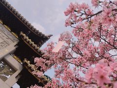 -宝墨园景区