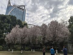 -温江公园