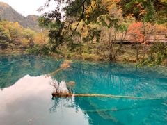 -如意林卡藏餐吧 (九寨沟店)
