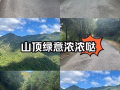 -东天目山风景区