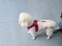 -佳怡动物医院·平价24小时·猫专科骨外科