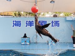 -无锡动物园·太湖欢乐园