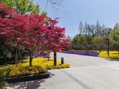 -上海市龙华烈士陵园