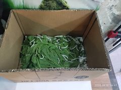 -双季花艺园艺市场(浦东店)