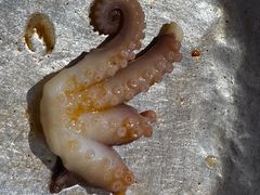 -济扶岛韩国海鲜汤제부도 해물탕(望京店)