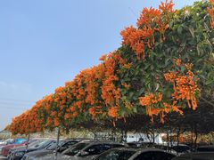 -中国移动南方基地