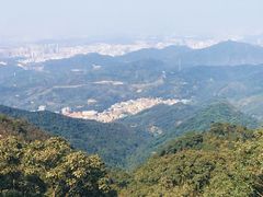 -梧桐山风景名胜区