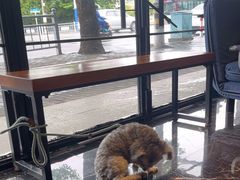 -宠颐生斯嘉宠物医院·急重症·心内科(谷阳北路分院)