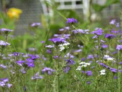 -国家植物园南园