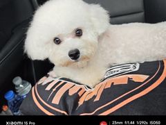 -久久宠物(河东万达店)