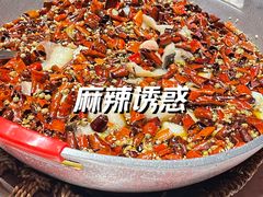 -天辣(金桥啦啦宝都店)