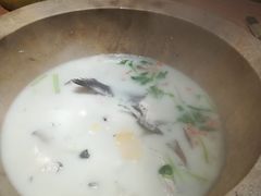 -鲜呦蒸汽石锅鱼(北辰路店)