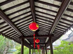 -上海醉白池公园