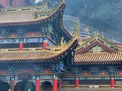 -东莞市大岭山森林公园