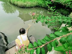 -樂桃源奉贤黄桃种植采摘基地