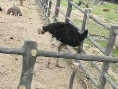 -西安秦岭野生动物园