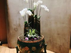 -若蘭慈·无国界素食料理(欢乐海岸店)